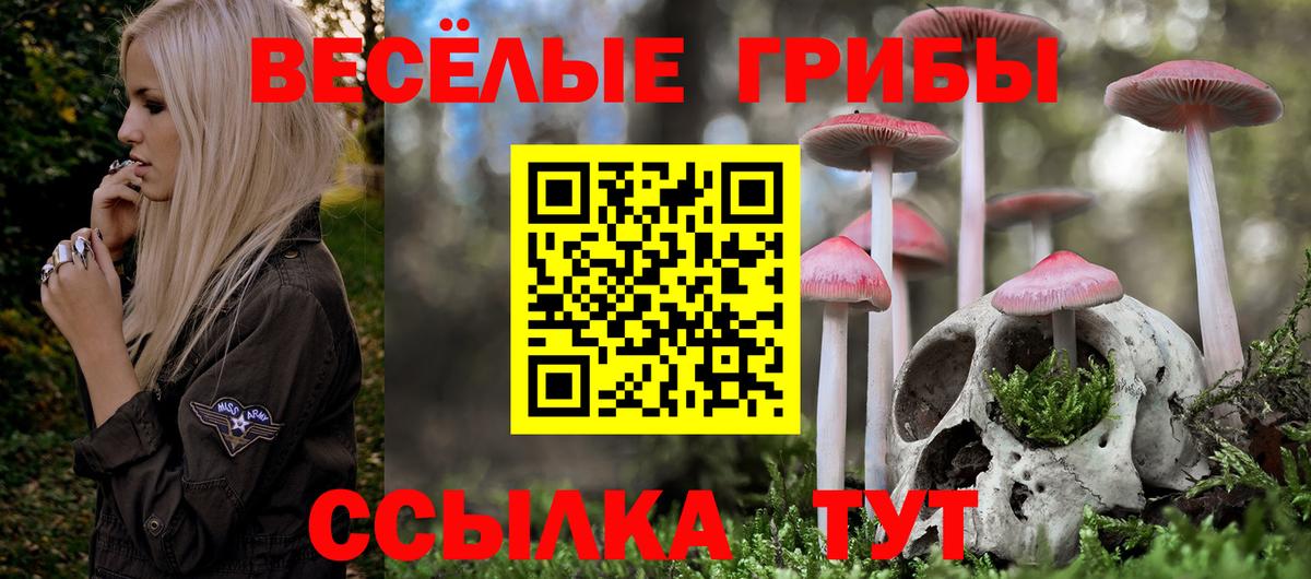 Галлюциногенные грибы мицелий  Вход с VPN  Орск 
